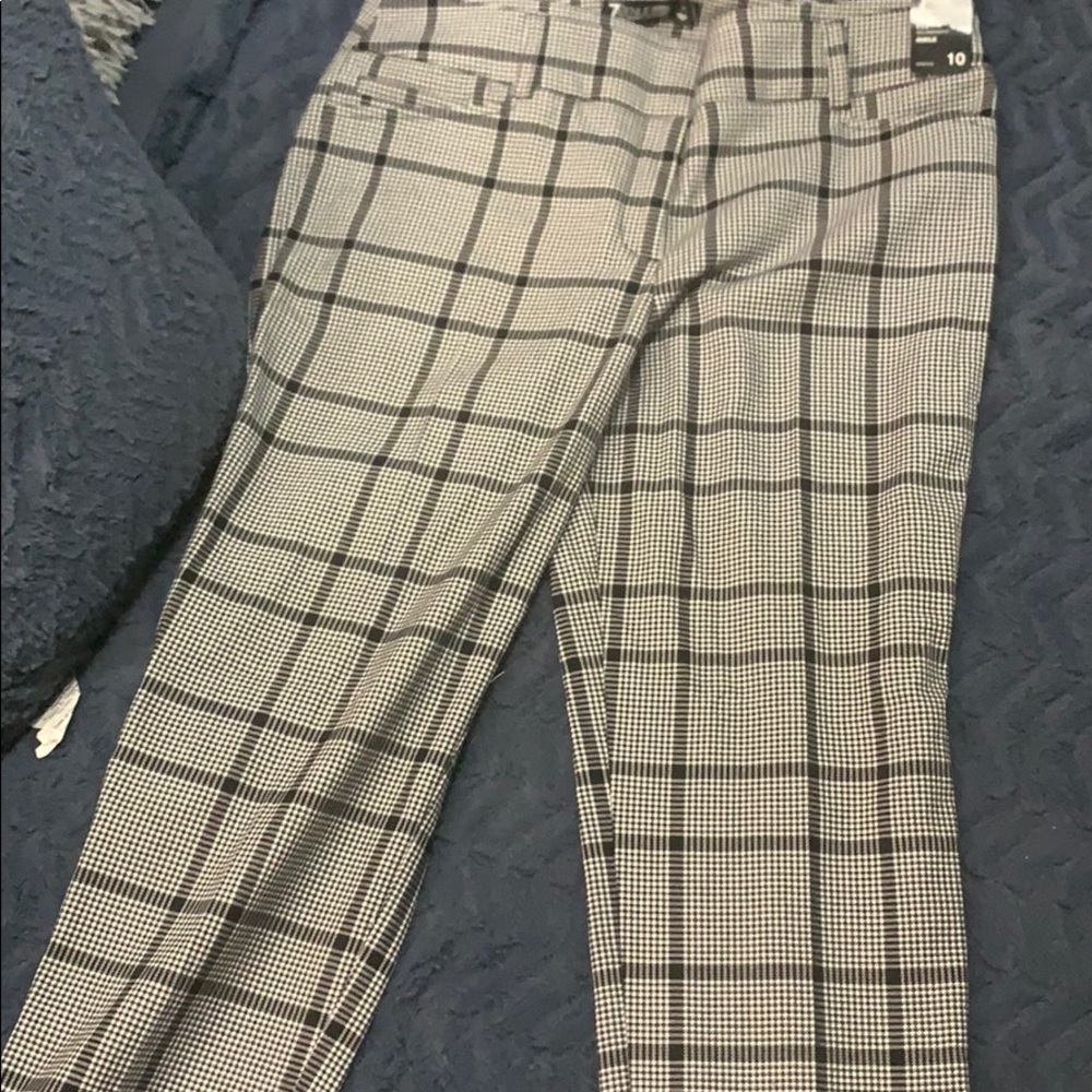 Dress pants